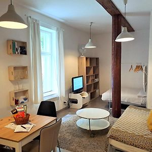 Magnificent Apartment In The Center Of Prague